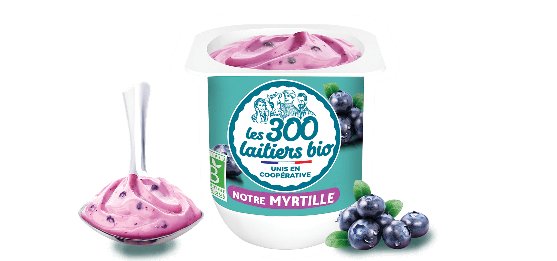 yaourt myrtille