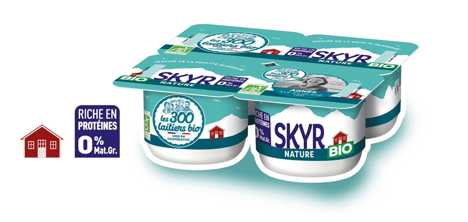 Skyr nature